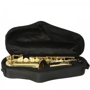 Trevor James Alphasax Alto Saxophone: Gold Lacquer