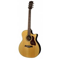 Richwood G-65-CEVA, Handmade  Grand Auditorium Guitar, Cutaway, Solid Spruce And Rosewood