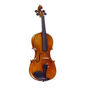 Stentor Master Violin 1902A